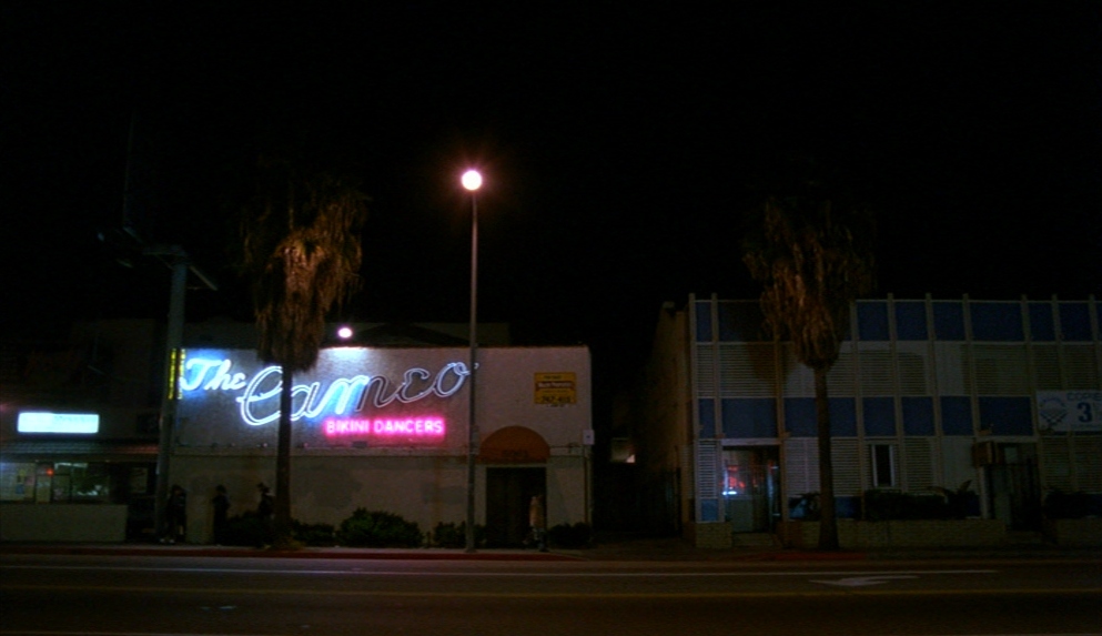 Night on Earth