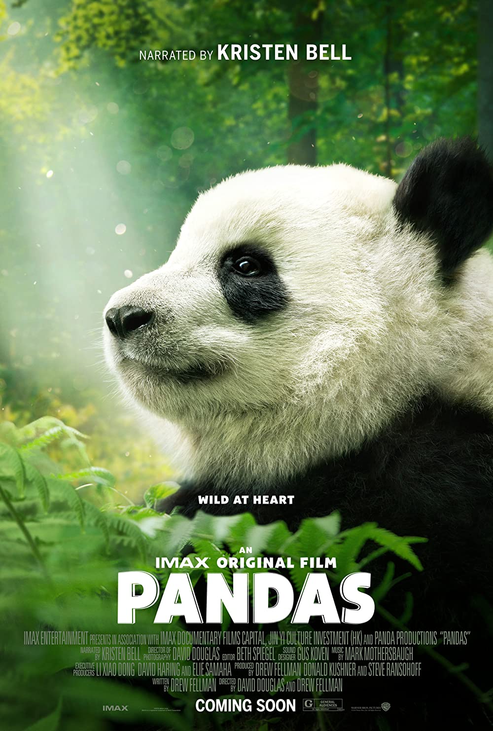 Filmbeschreibung zu Pandas 3D