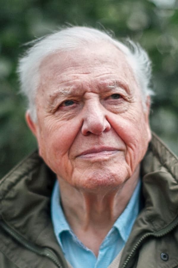 Bild von David Attenborough
