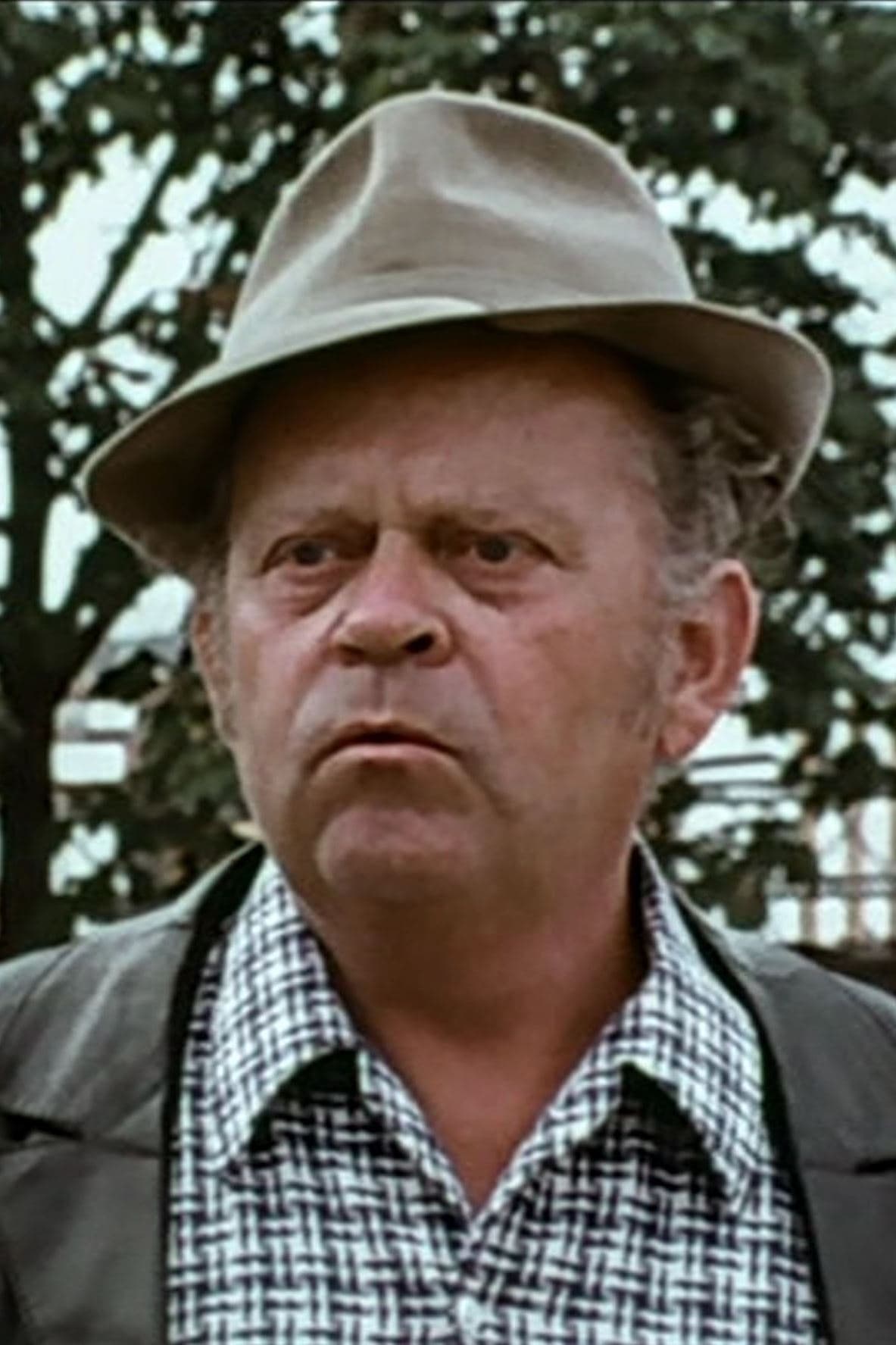 Bild von Gerhard Wollner