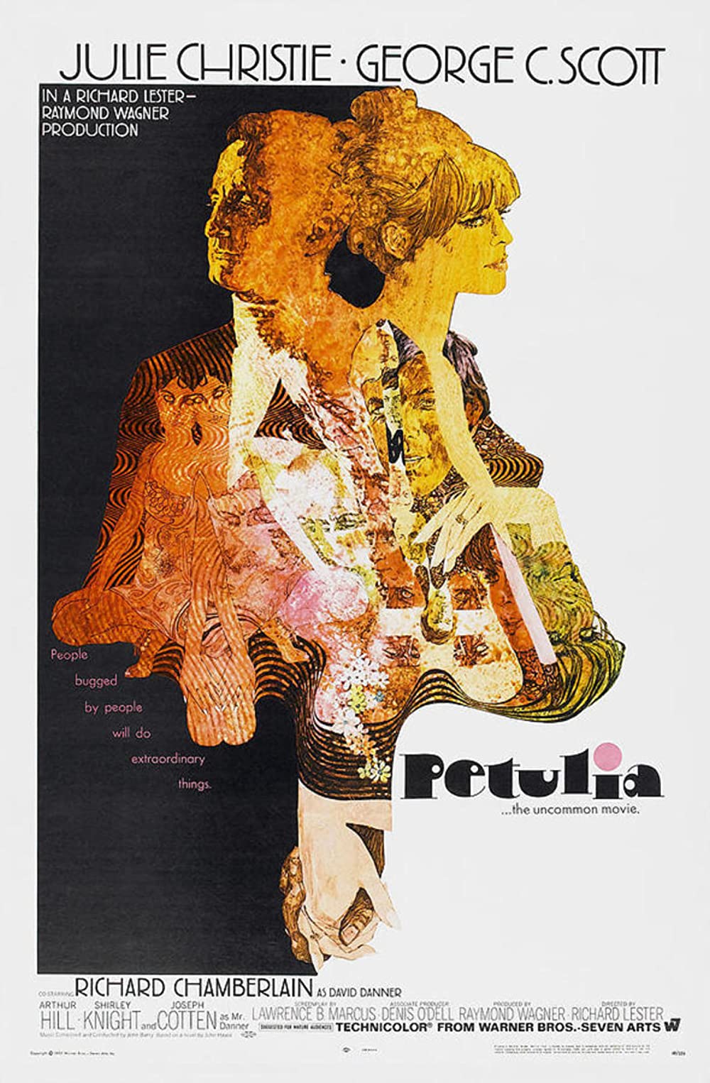 Filmbeschreibung zu Petulia