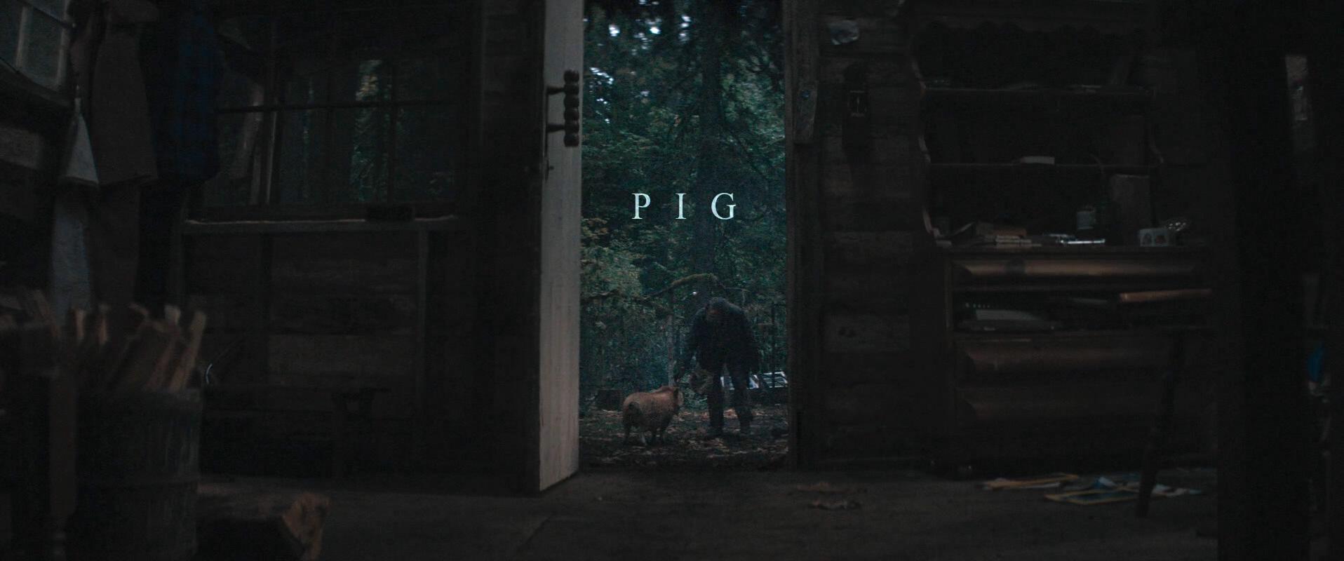 Pig