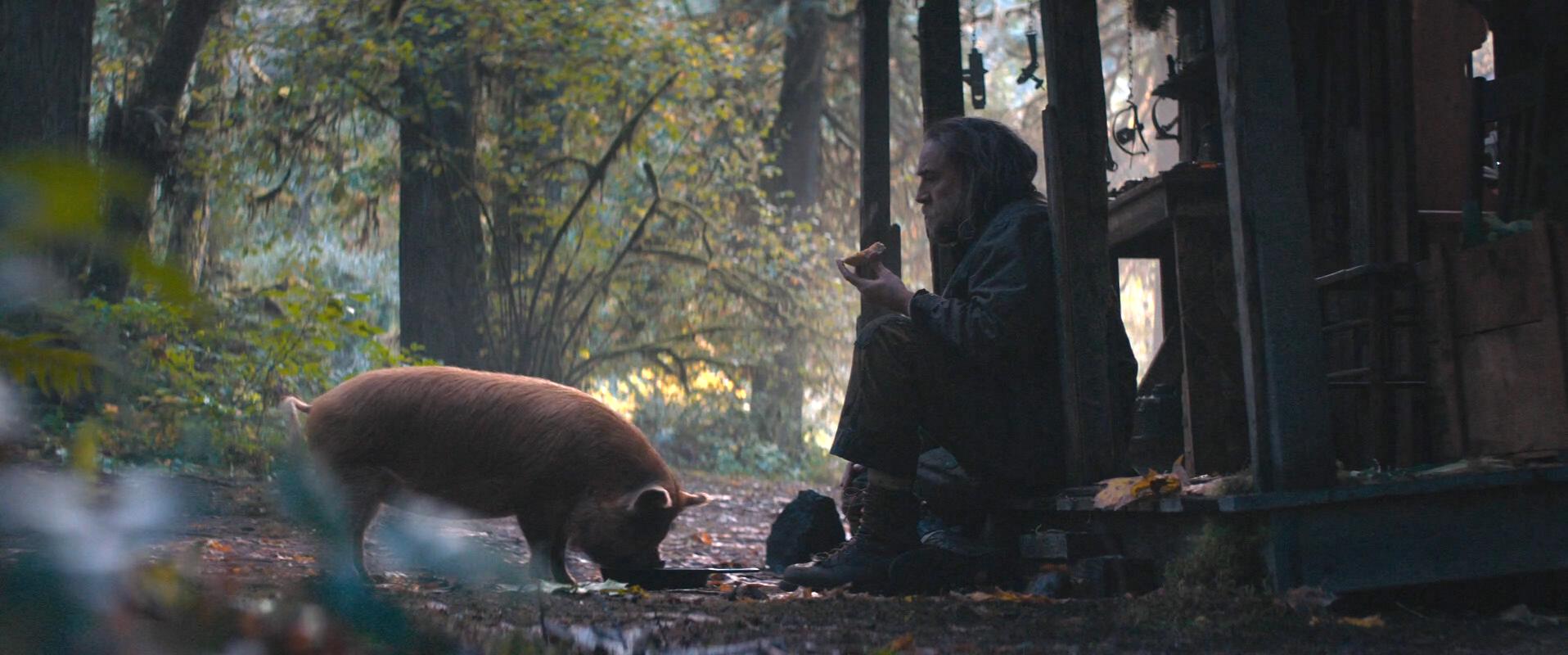 Pig