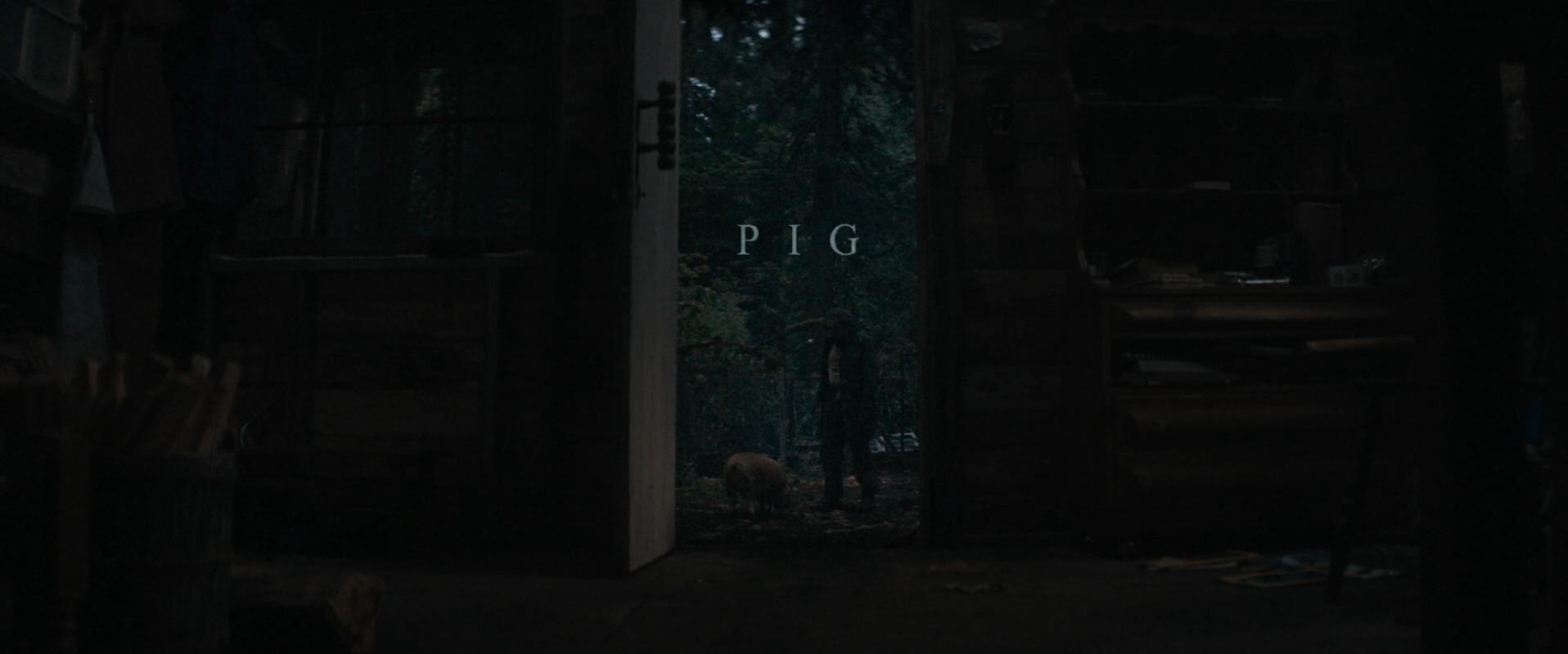 Pig