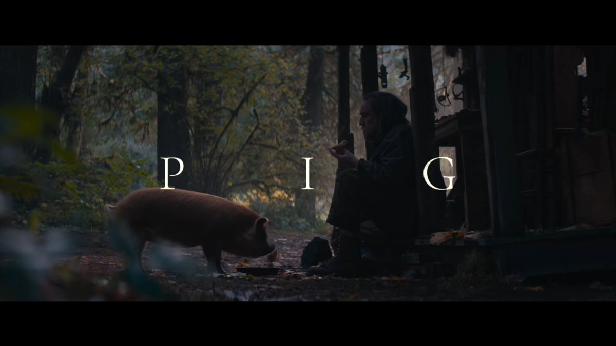 Pig