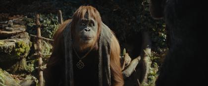 Planet der Affen: New Kingdom (OV)