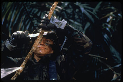 Predator