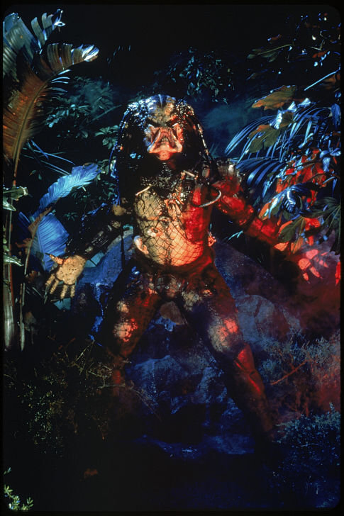 Predator