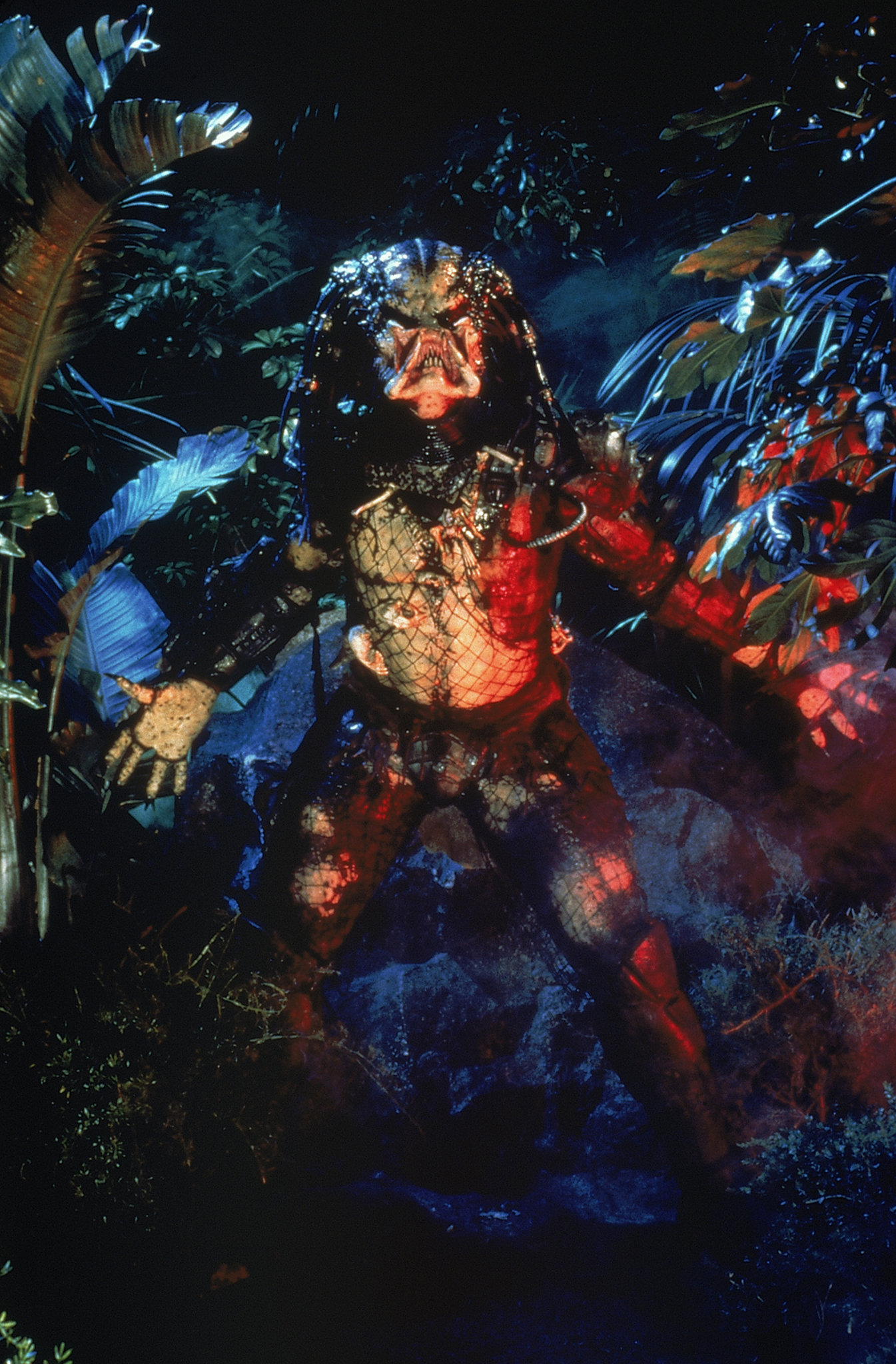 Predator