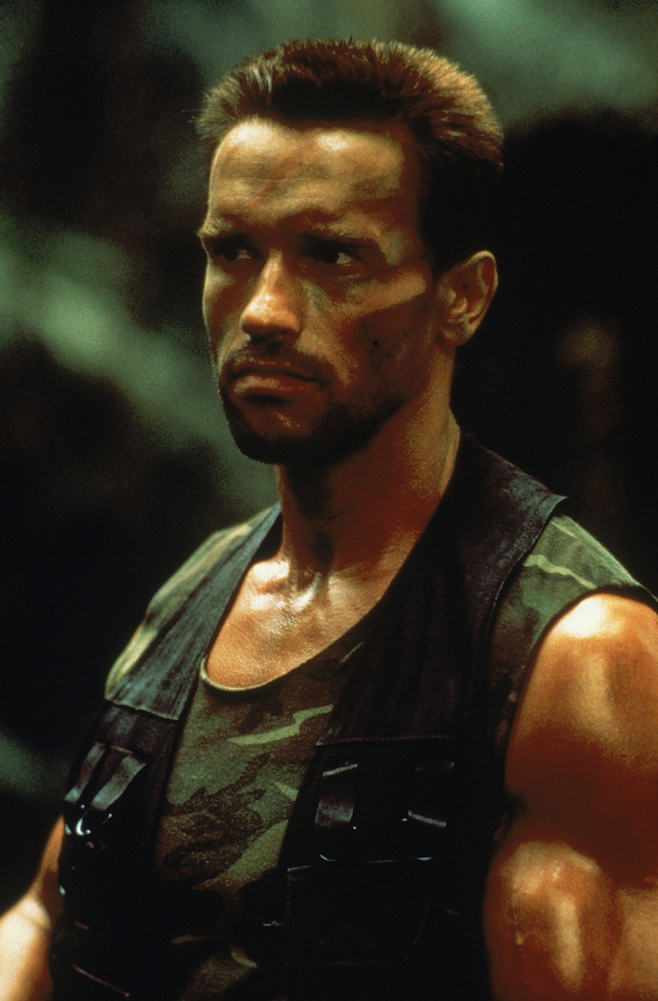Predator