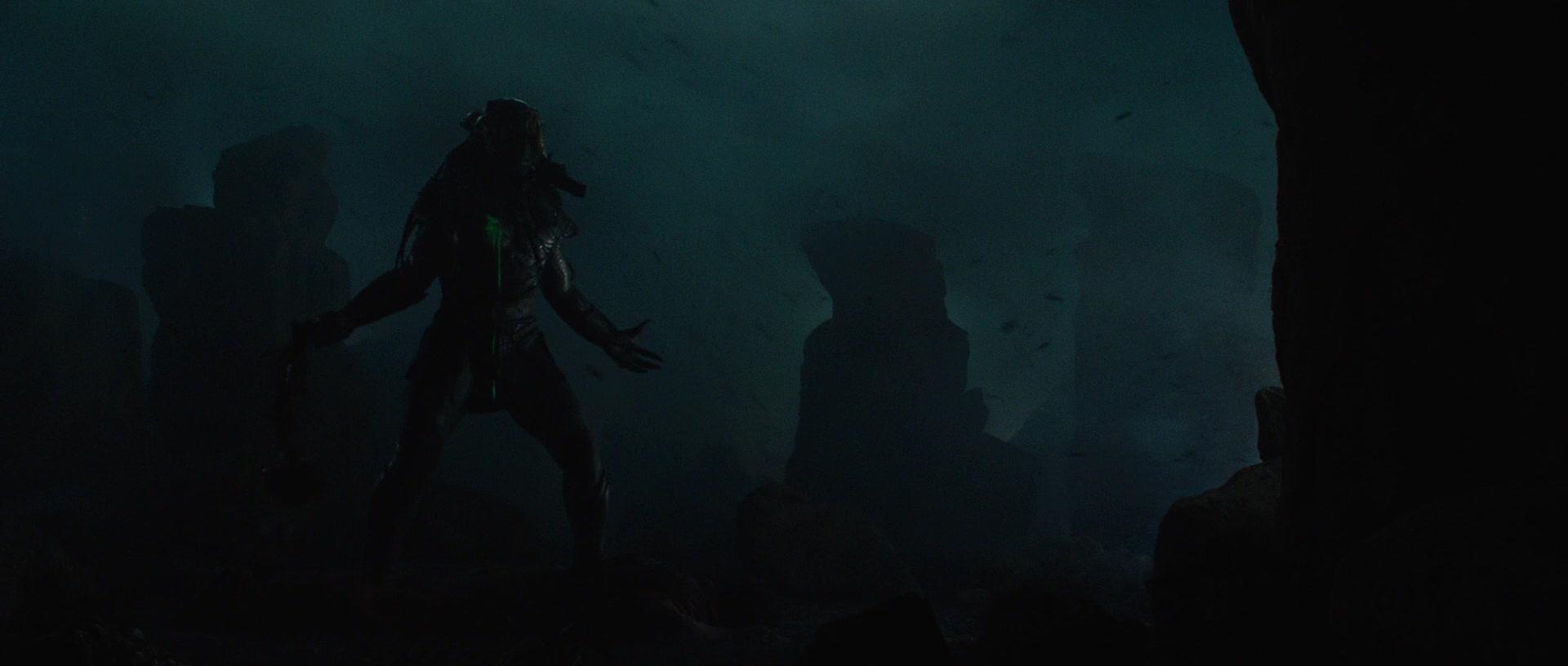 Predators