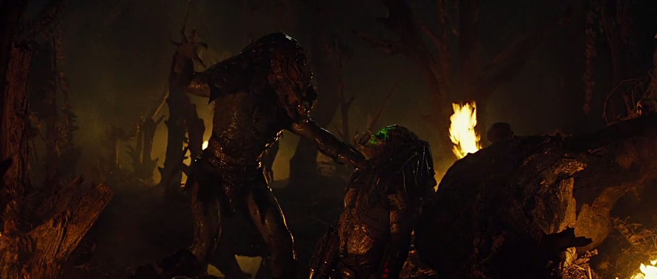 Predators
