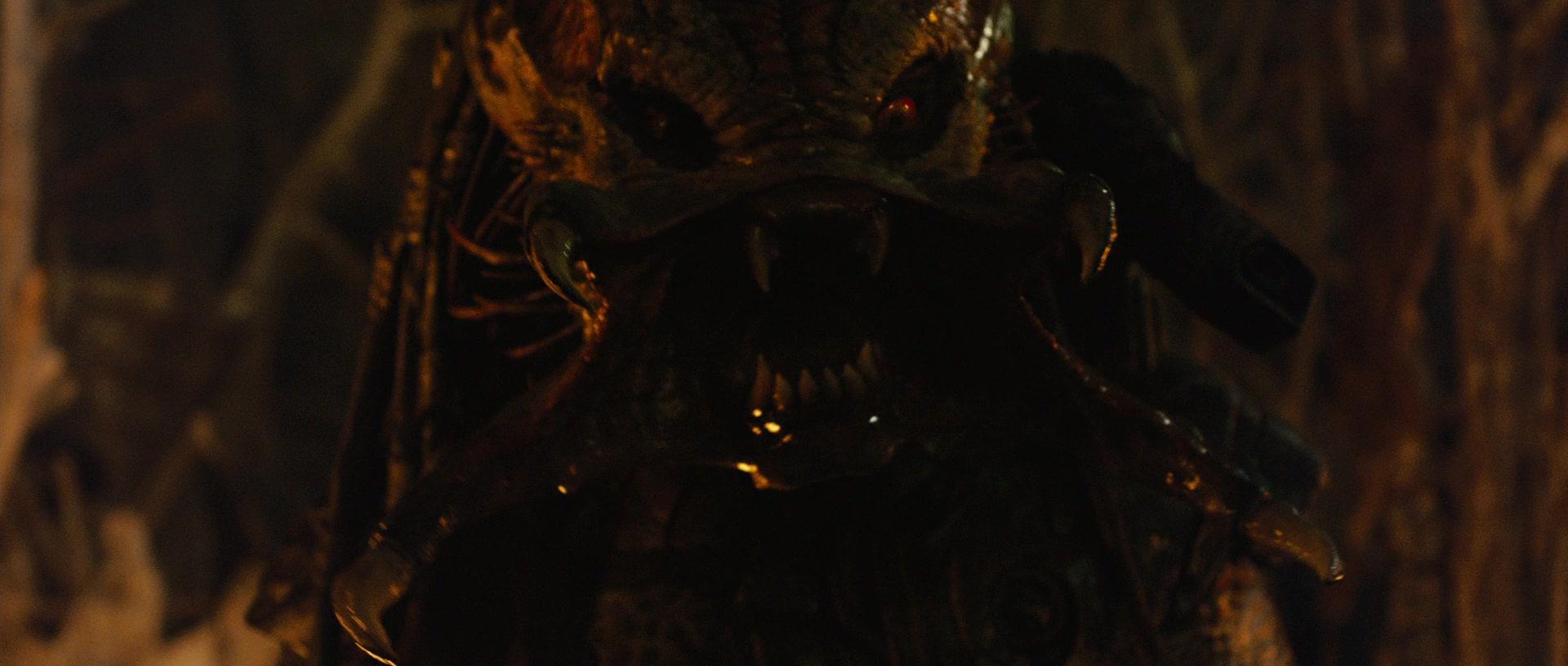Predators