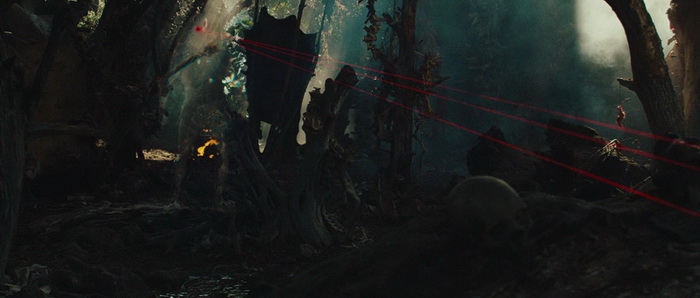 Predators