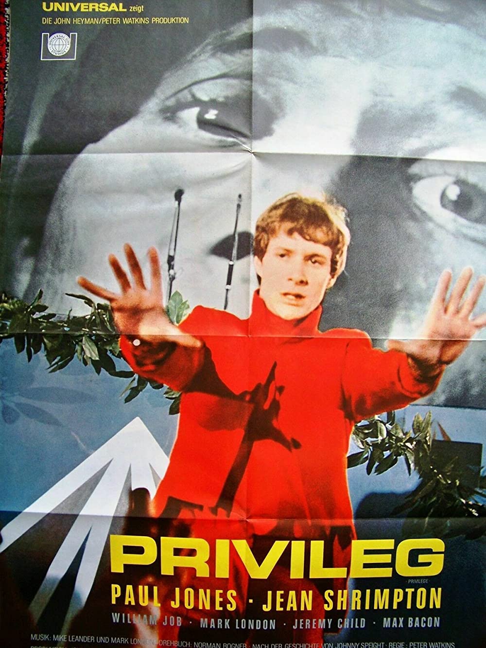 Filmbeschreibung zu Privilege