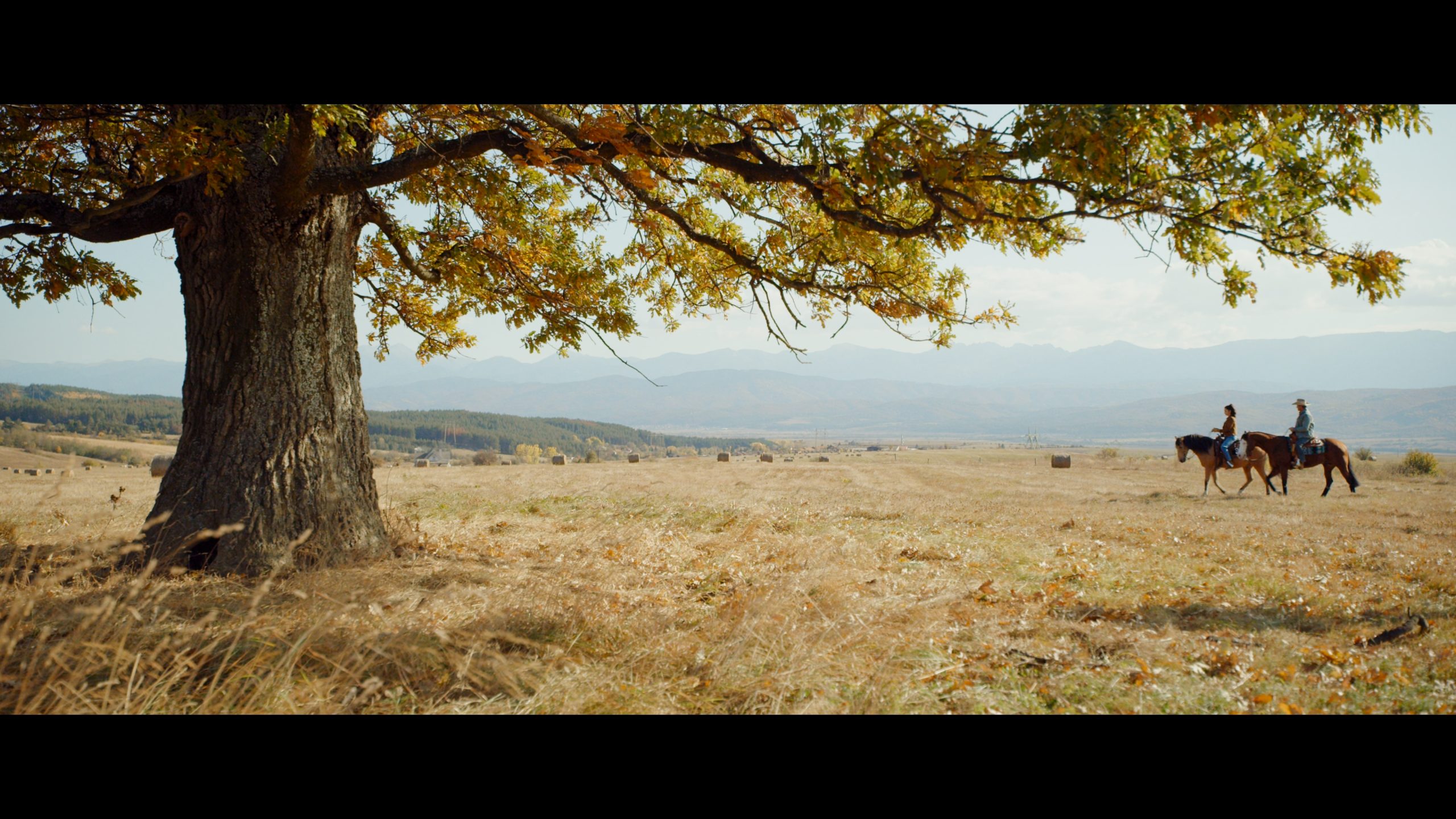 Rambo: Last Blood