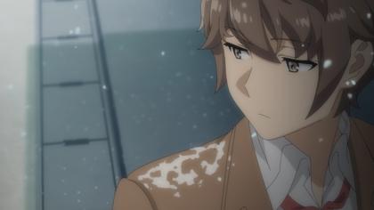 Rascal Does Not Dream (Double Feature)