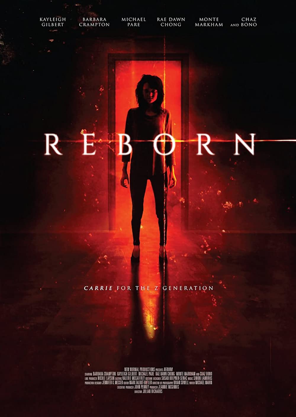 Filmbeschreibung zu Reborn