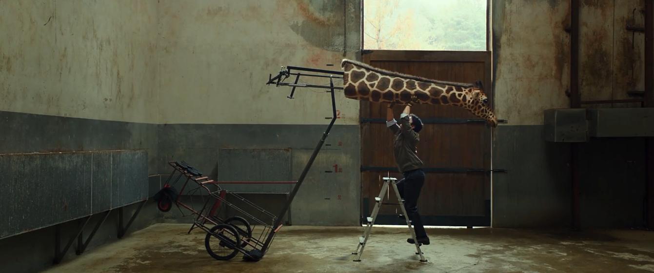Rettet den Zoo