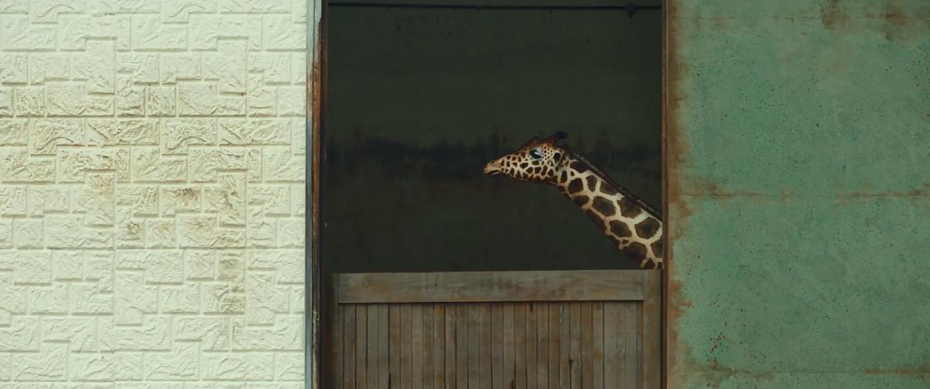 Rettet den Zoo