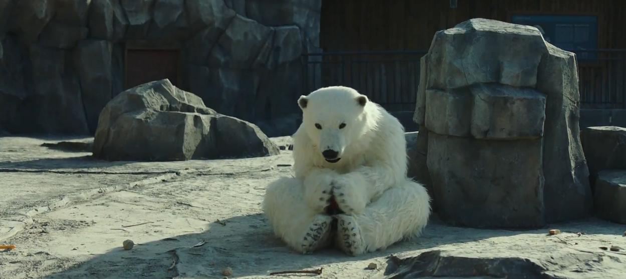 Rettet den Zoo