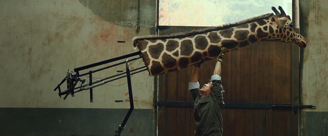 Rettet den Zoo
