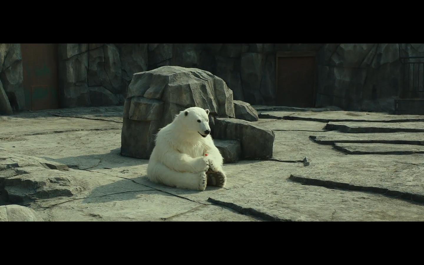 Rettet den Zoo