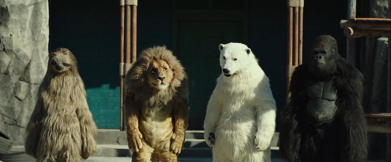 Rettet den Zoo