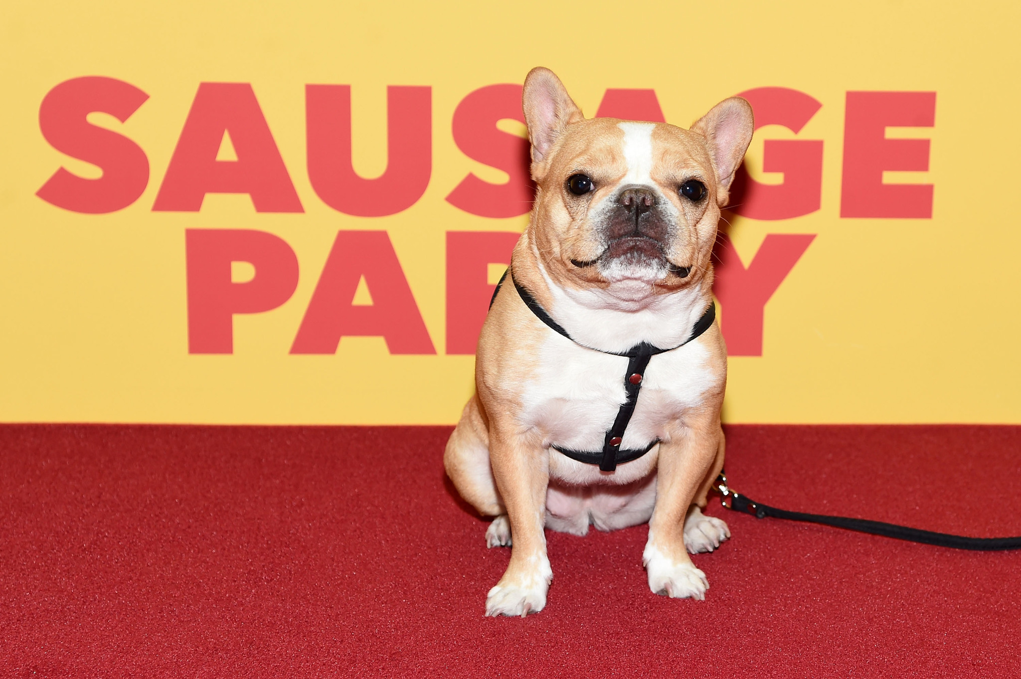Sausage Party - Es geht um die Wurst