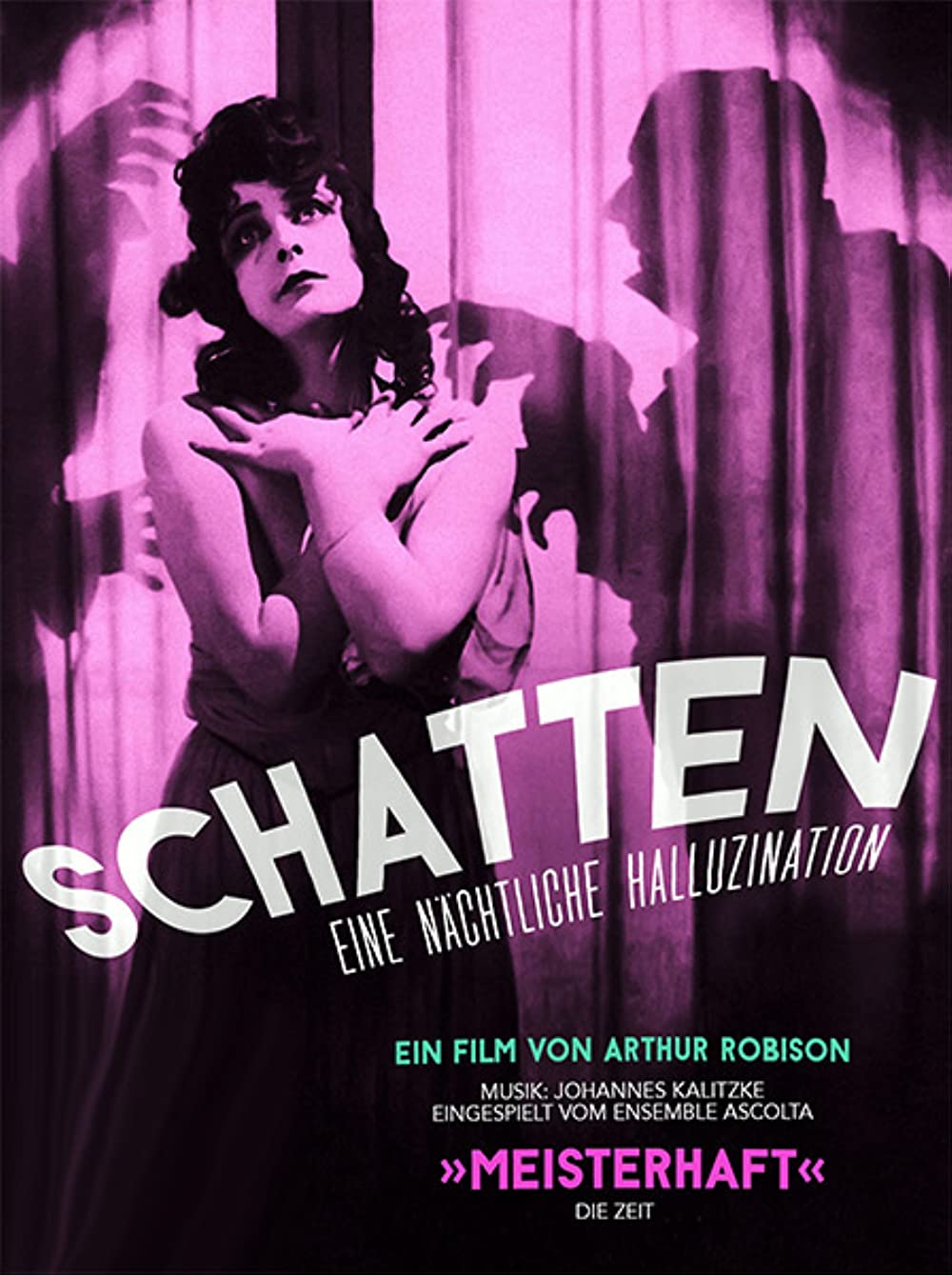 Filmbeschreibung zu Schatten - Eine n?chtliche Halluzination