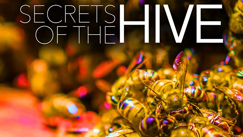 Filmbeschreibung zu Secrets of the Hive (OV)