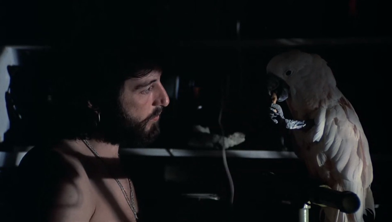 Serpico