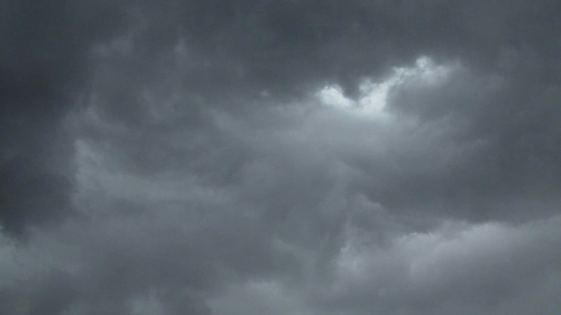 Sharknado - Genug gesagt!