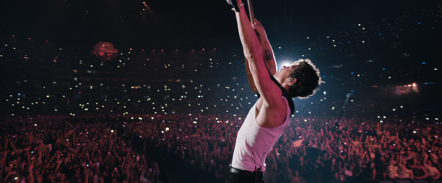 Shawn Mendes: In Wonder