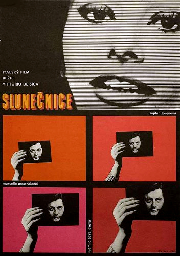 Sonnenblumen