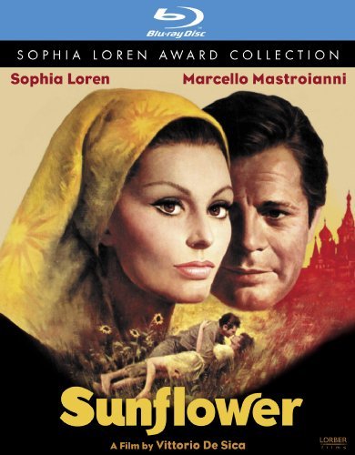 Sonnenblumen