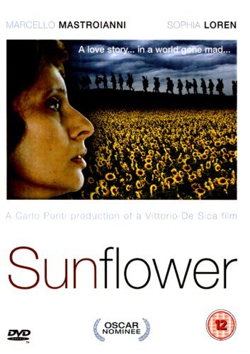 Sonnenblumen
