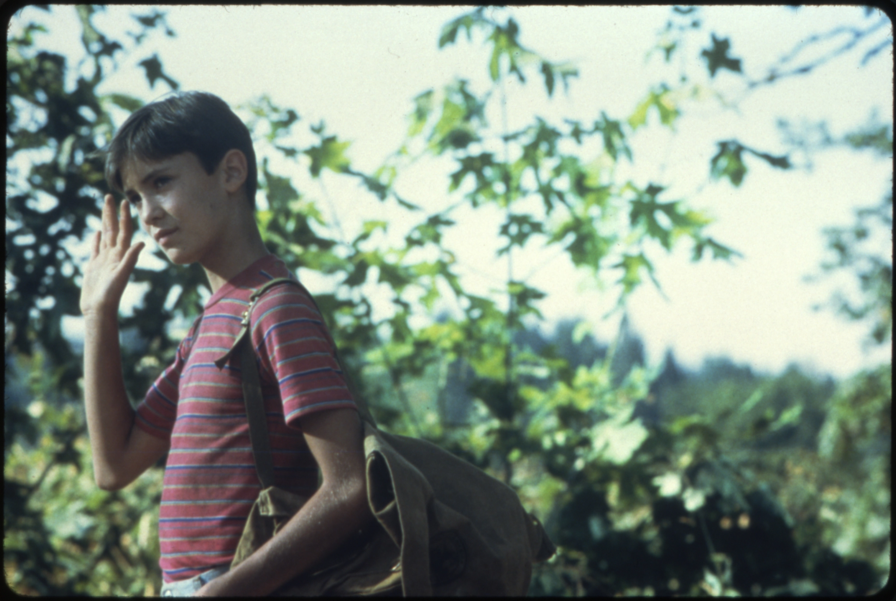 Stand By Me - Das Geheimnis eines Sommers