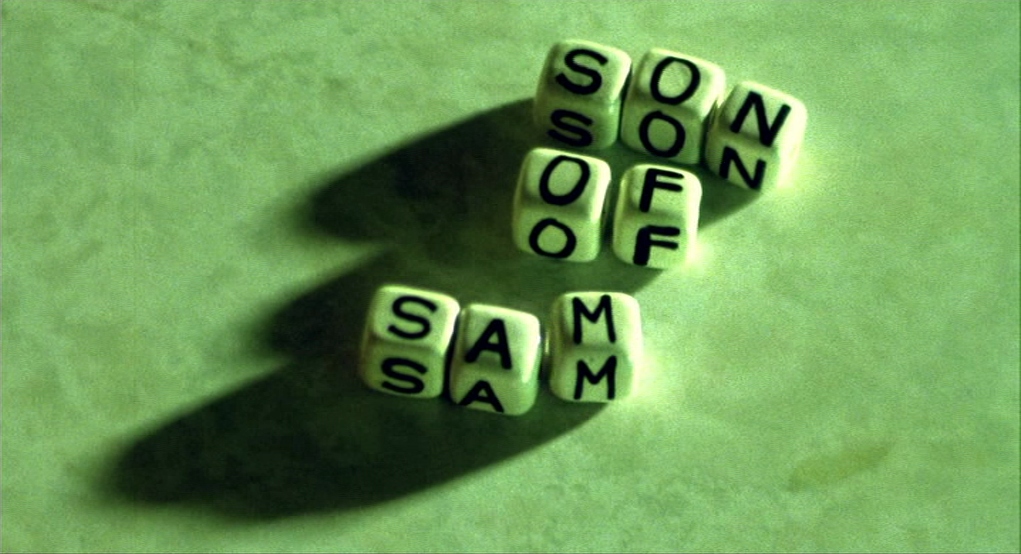 Summer of Sam