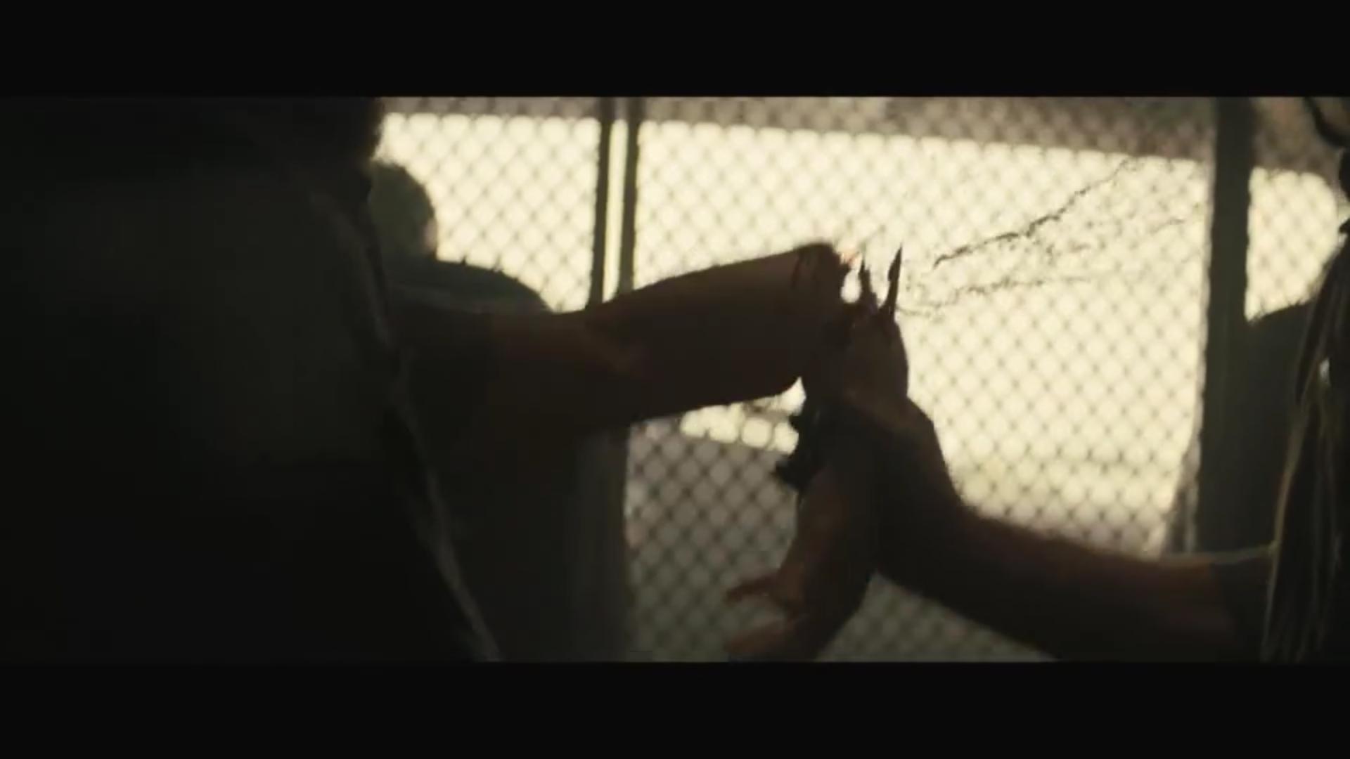 Texas Chainsaw Massacre