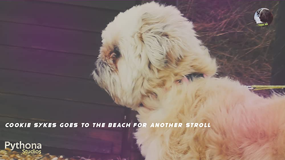 Filmbeschreibung zu The Beach - Der Strand