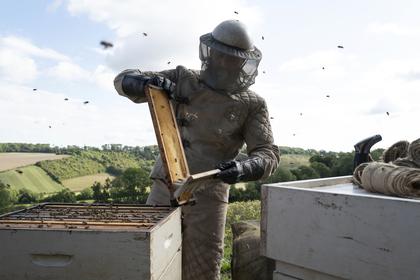 The Beekeeper (OV)