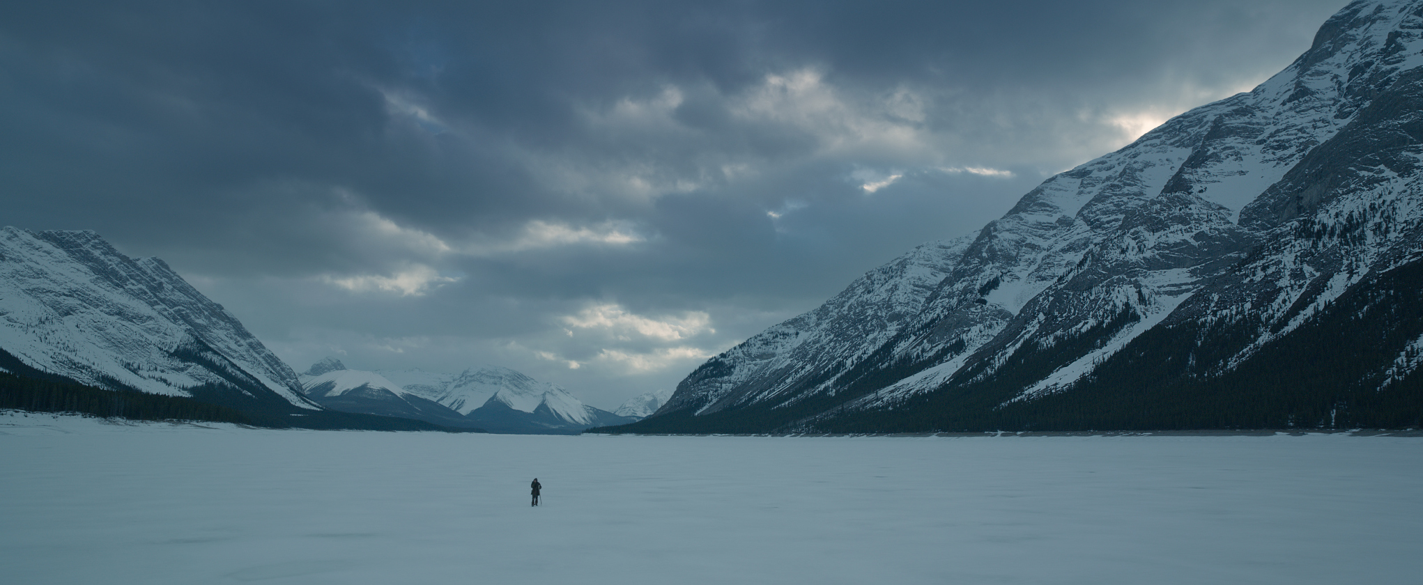 The Revenant - Der Rückkehrer
