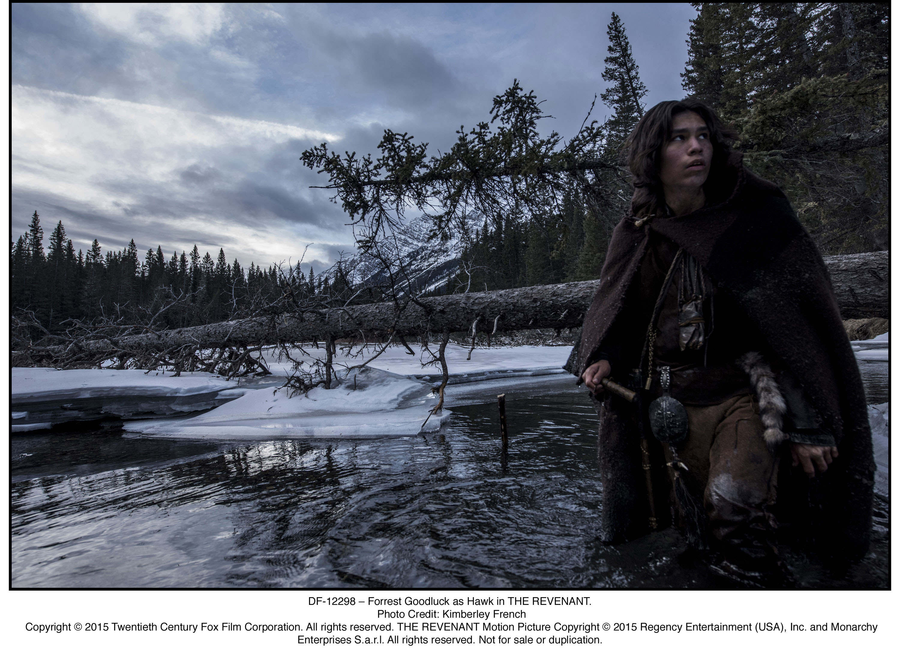 The Revenant - Der Rückkehrer