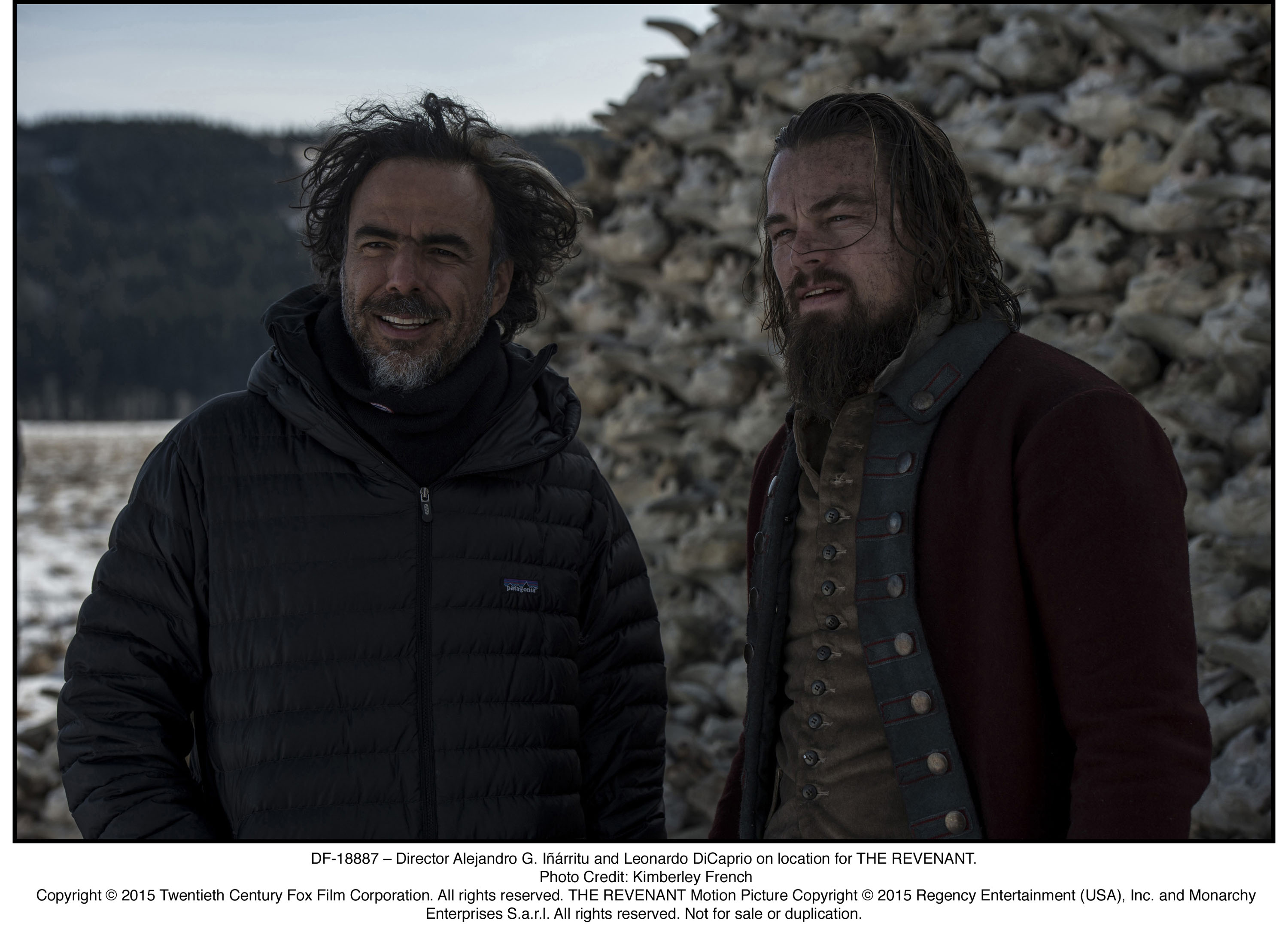 The Revenant - Der Rückkehrer