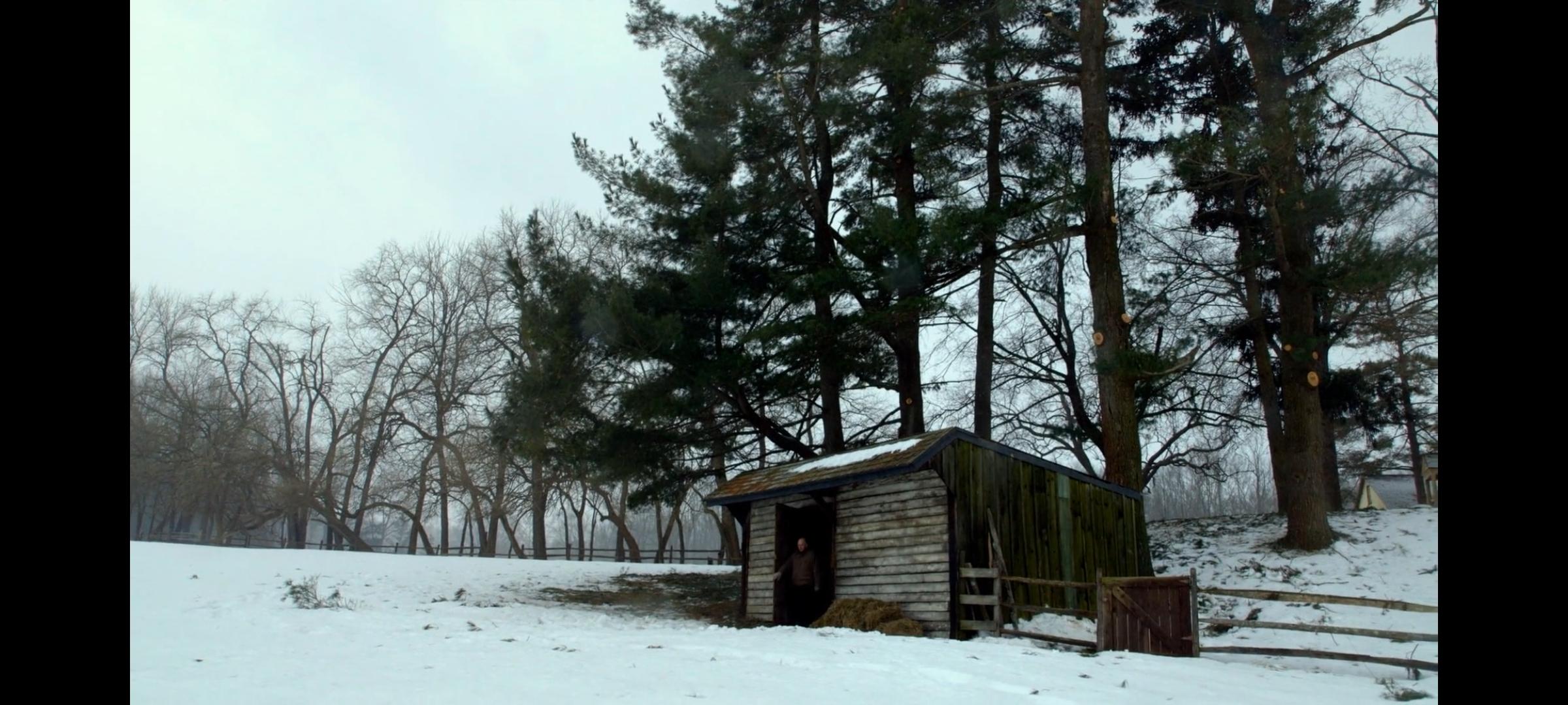 The Visit