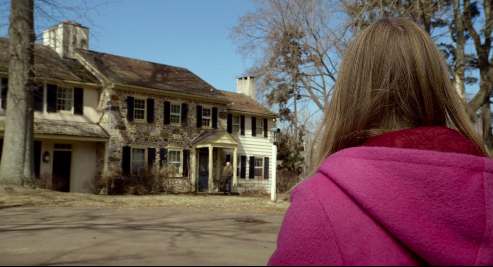 The Visit