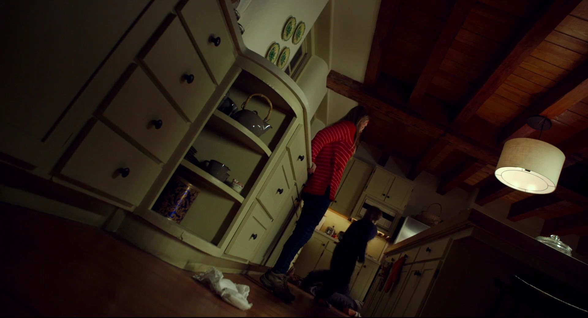 The Visit