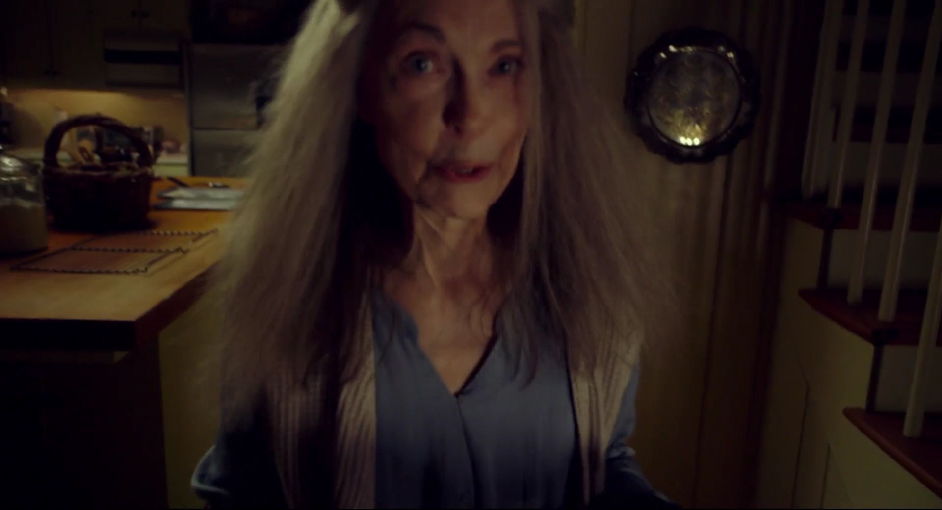 The Visit