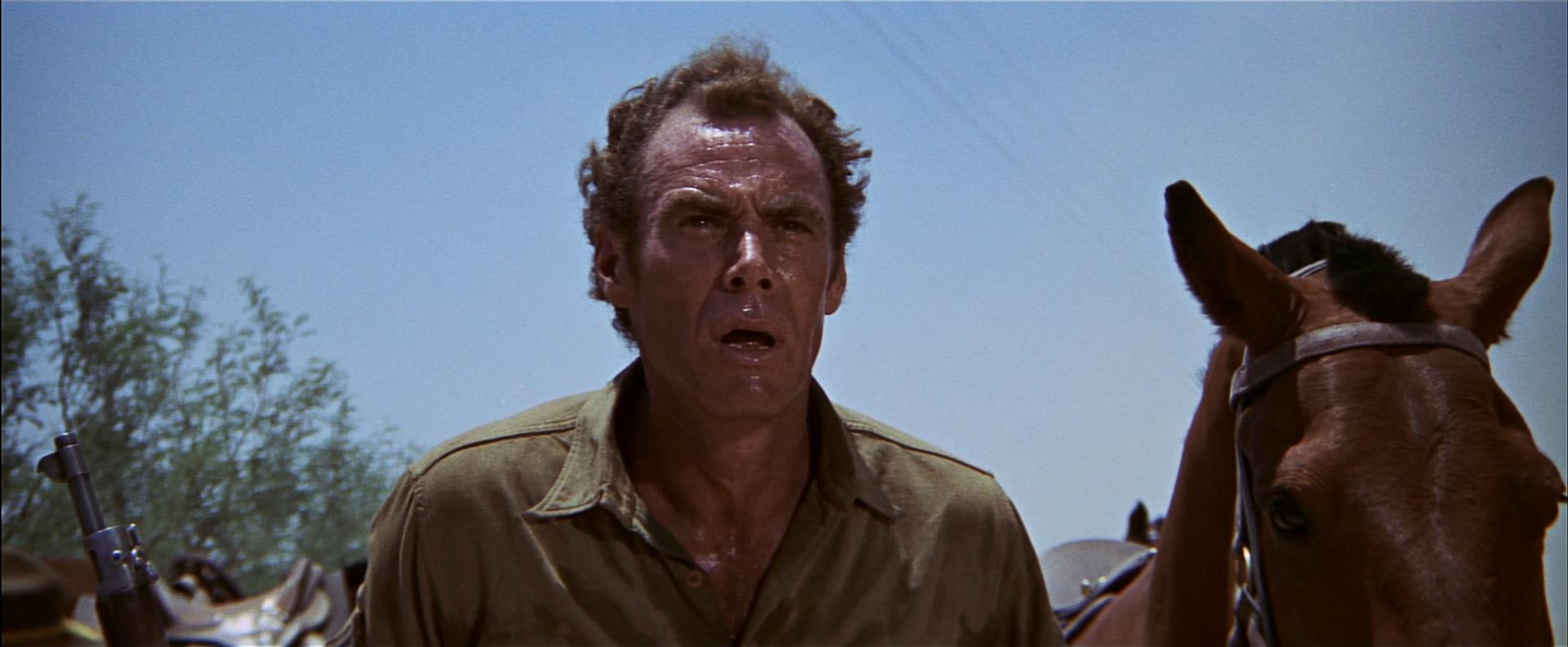 The Wild Bunch - Sie kannten kein Gesetz
